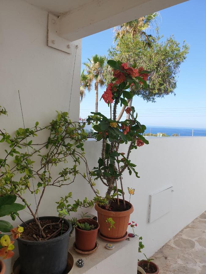 Ikaria Village-Ground Floor Apartment No 4 Klorakas Eksteriør bilde
